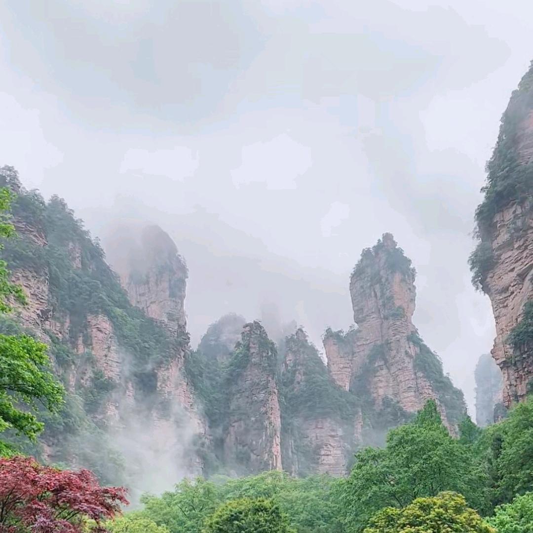 乘风破浪(●—●)