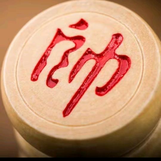 晋哥讲象棋@抖音