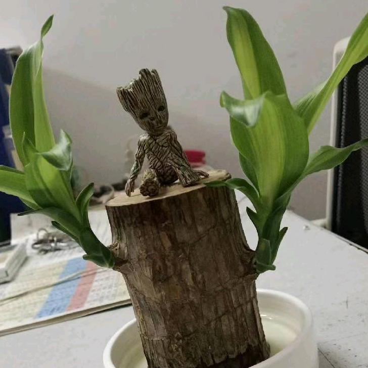 就*是