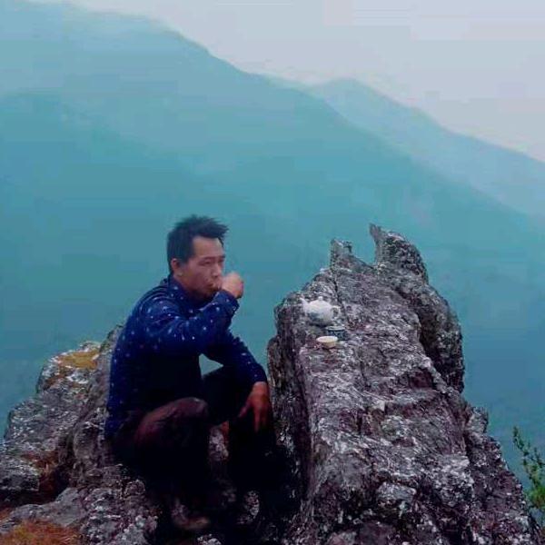 楊🕵️🕵️🕵️