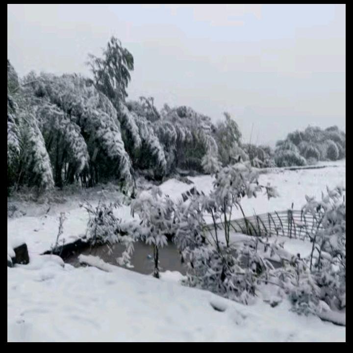 美好未来
