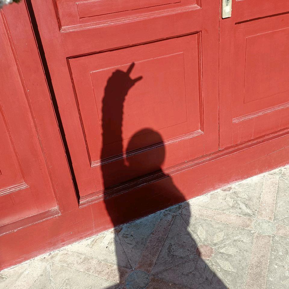 爱吃发面大馒头