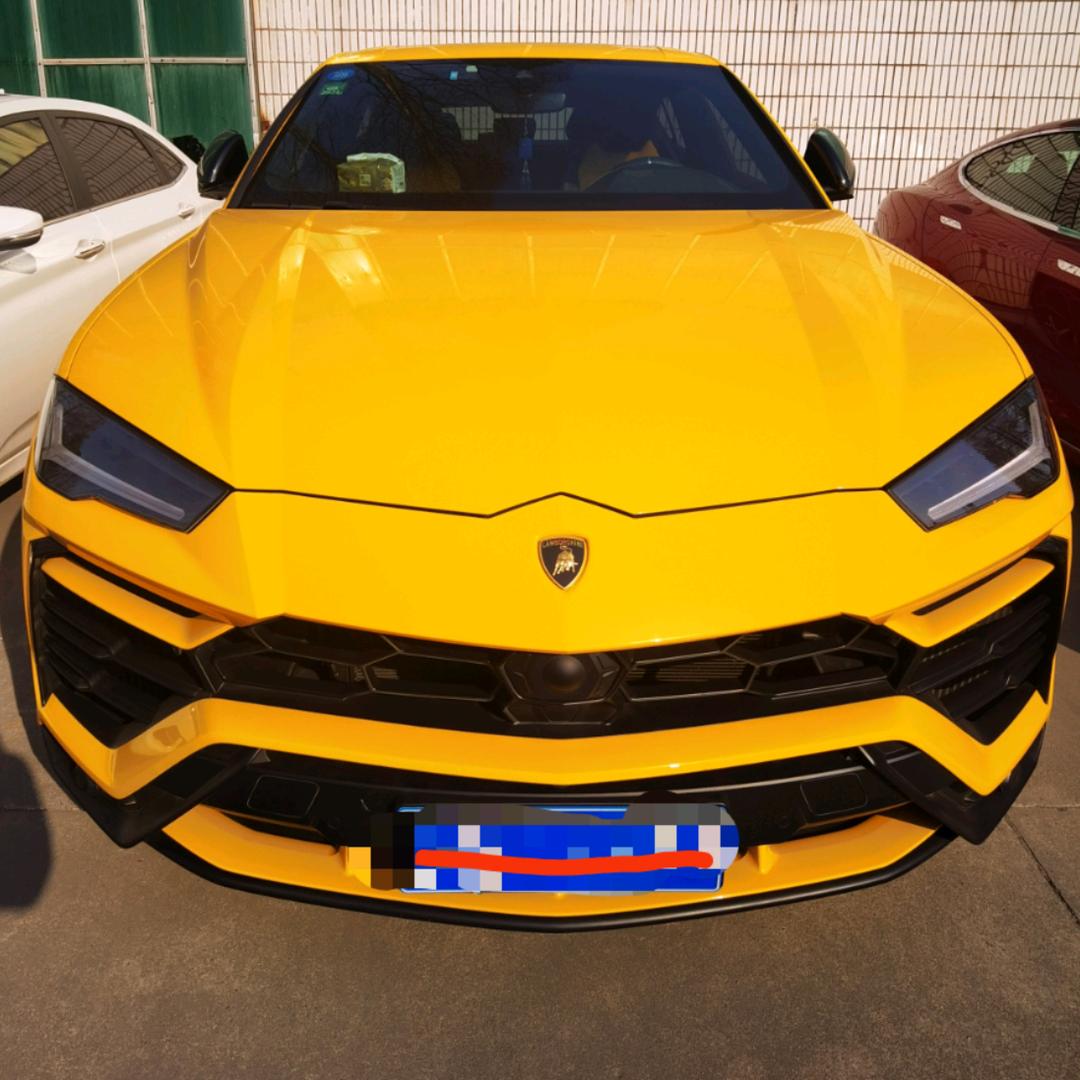 上海大王汽车