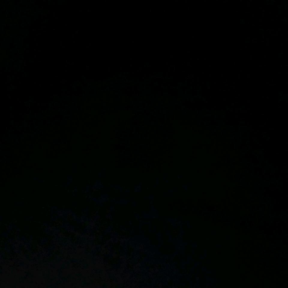 莫莫