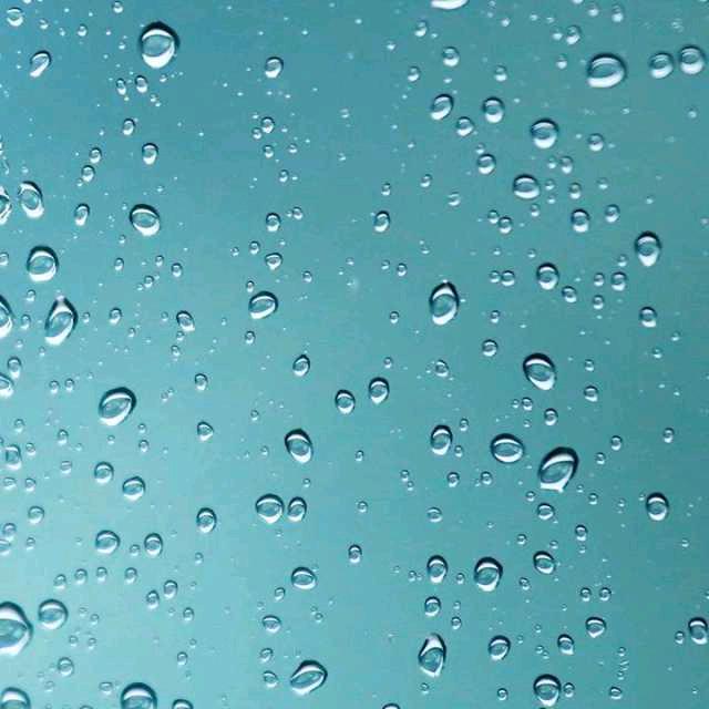 不以物喜 不以己悲