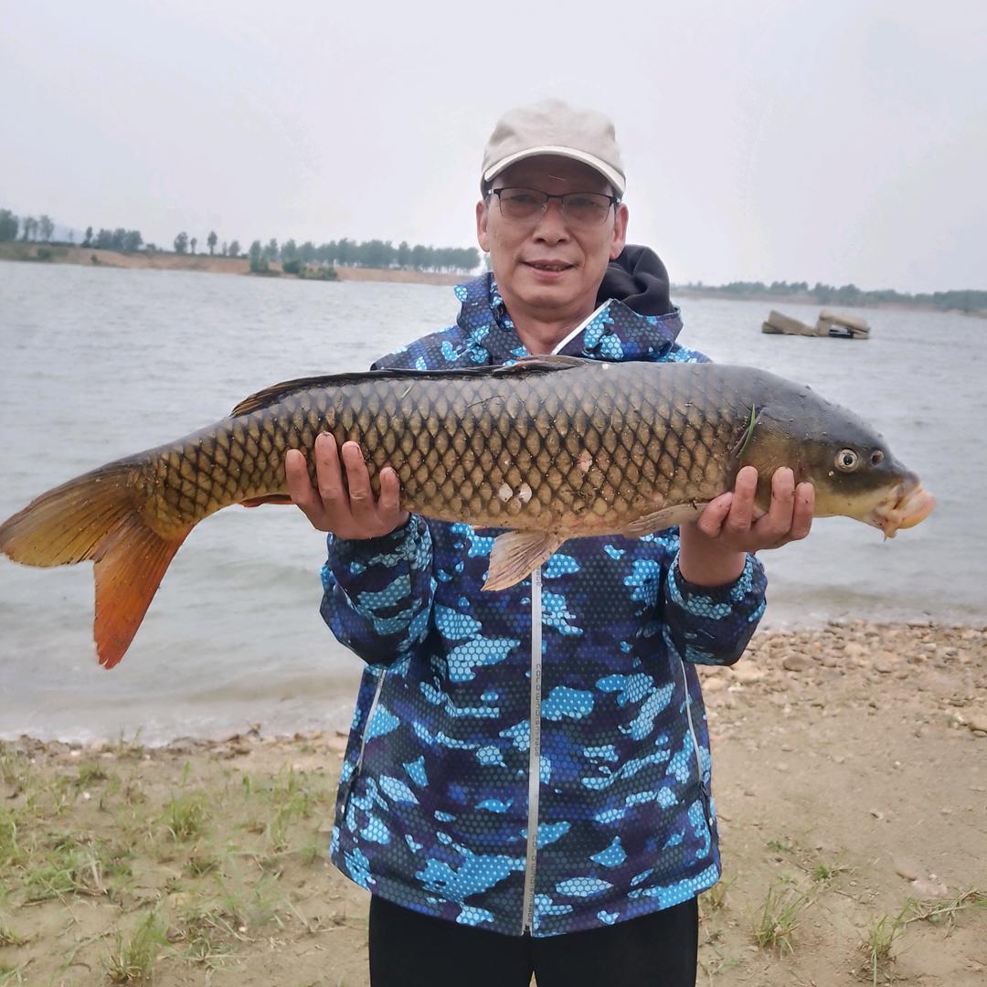 南阳宛新老曾野钓鱼饵