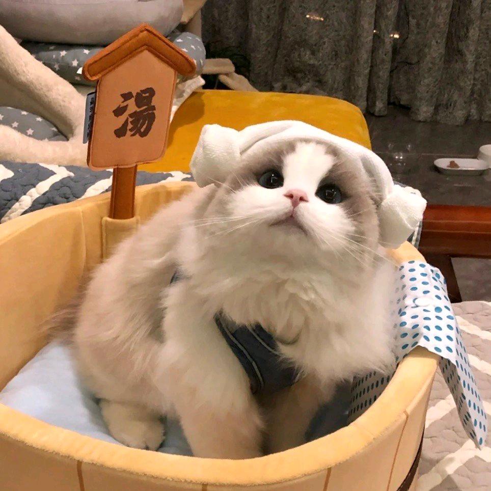 薄荷酱