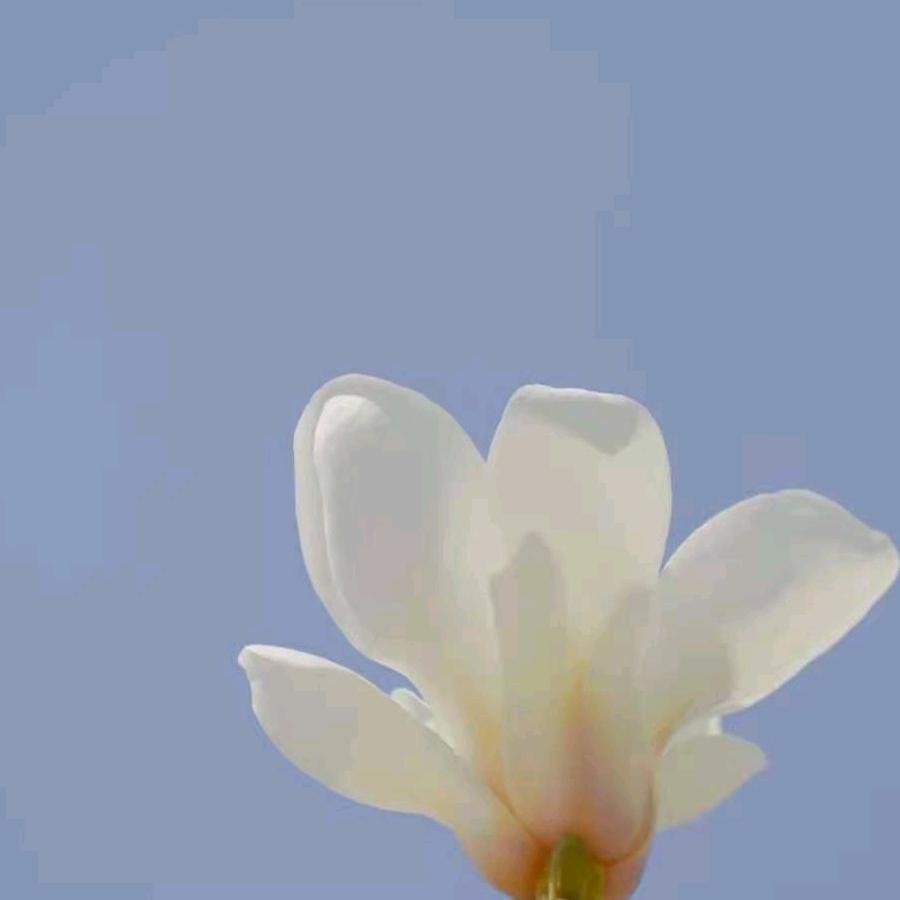 昨日重现