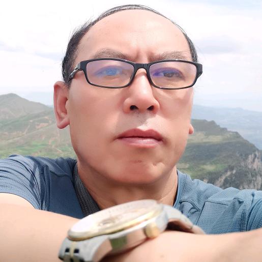 哈丽