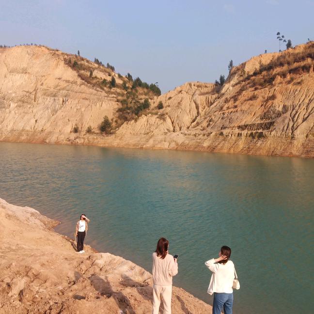 飞龙在天飞龙在天