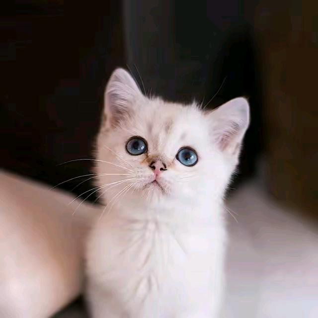 🌈 🌈 🌈哦豁