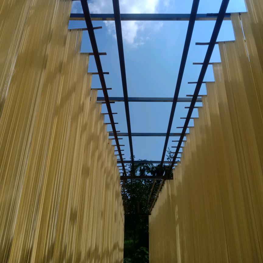 李氏挂面⁵¹¹《挂面批发》