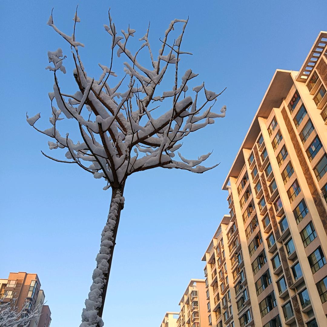 小拇指沙柳北路工厂店