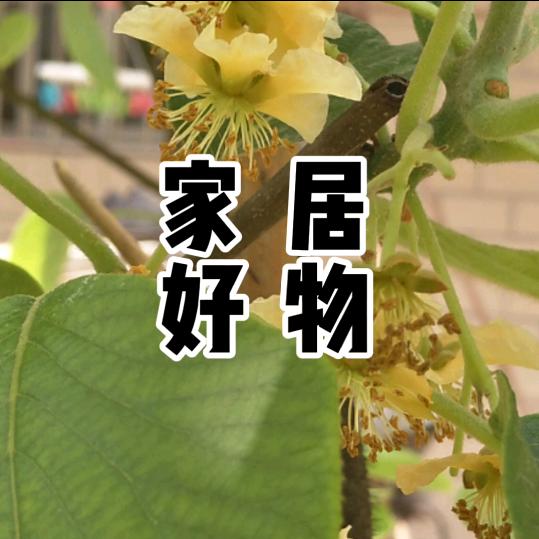 晨微迈居舍