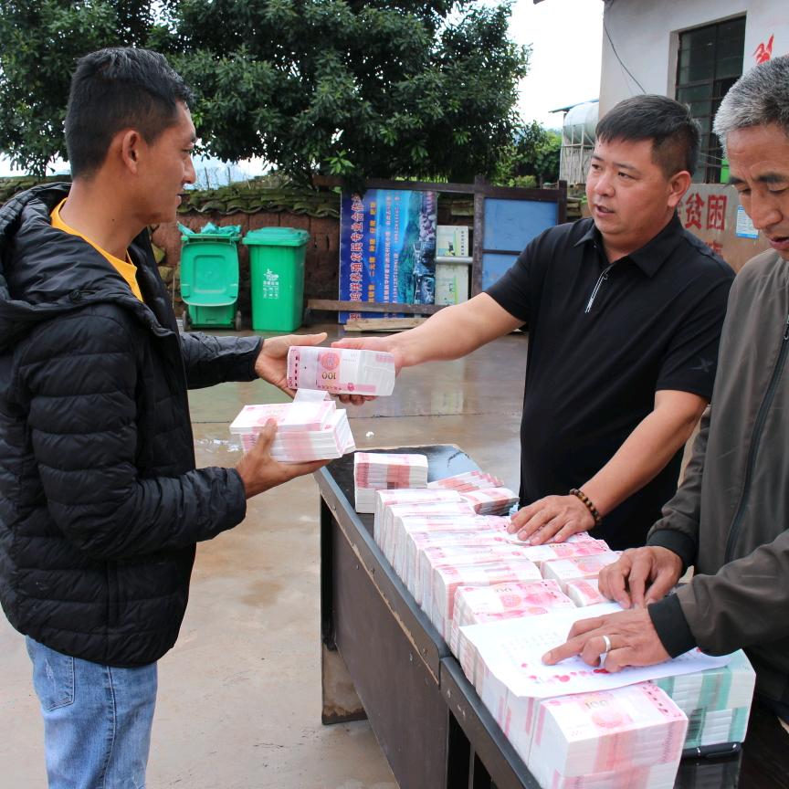 云南凤凰窝茶业有限公司