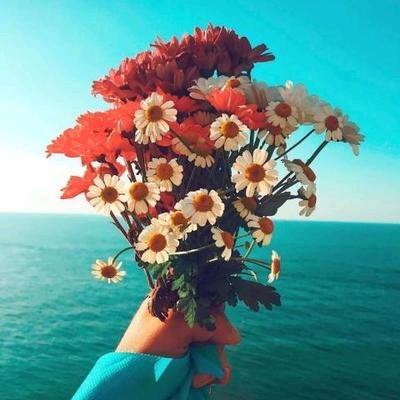 破茧成蝶🧚‍♂️