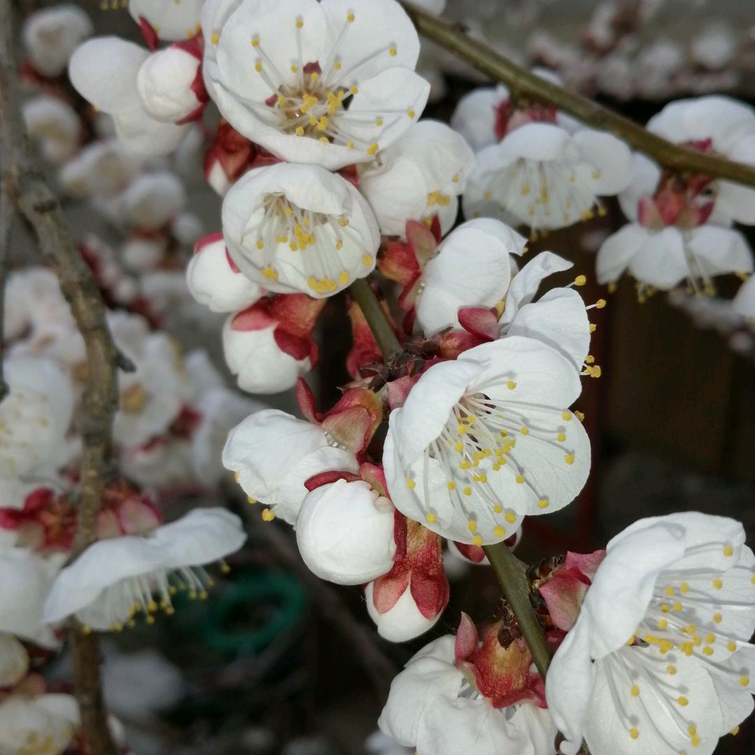 我的名字是,幸福生活