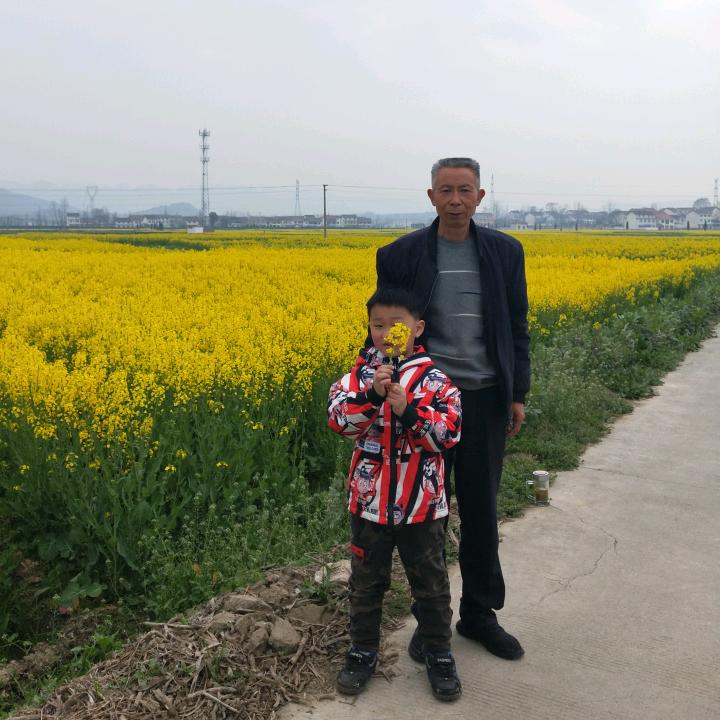 一生无悔
