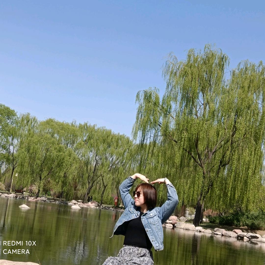 李慕青