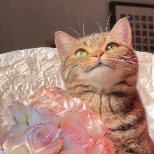 朱一龙的眼睫毛