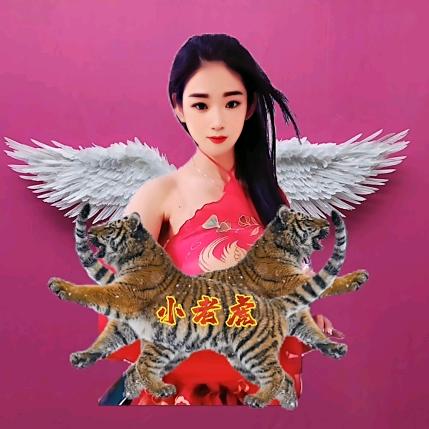 ꒰ঌ小老虎໒꒱……👑