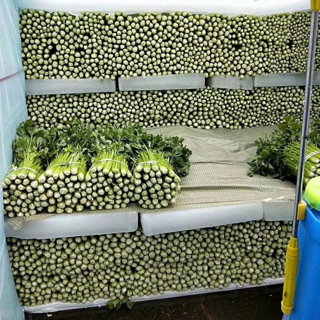 ，芹菜，土豆，专业，