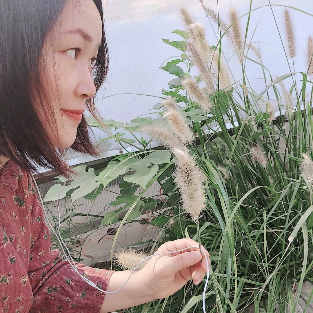 林姐有仨宝_