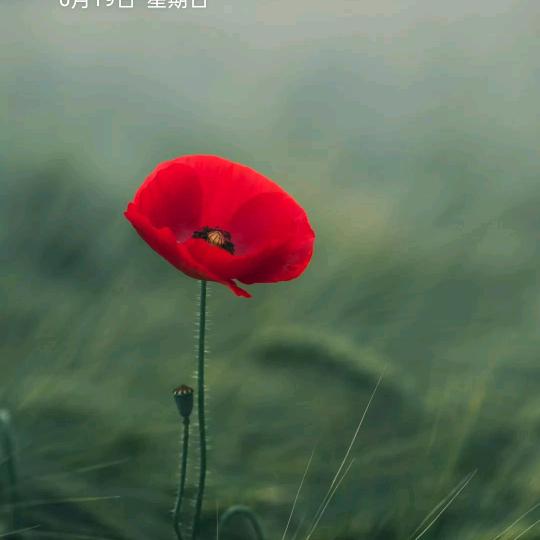 生命不息