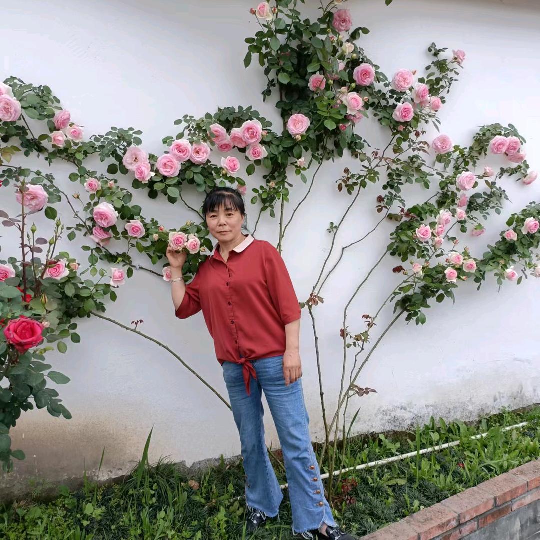 用户849920098