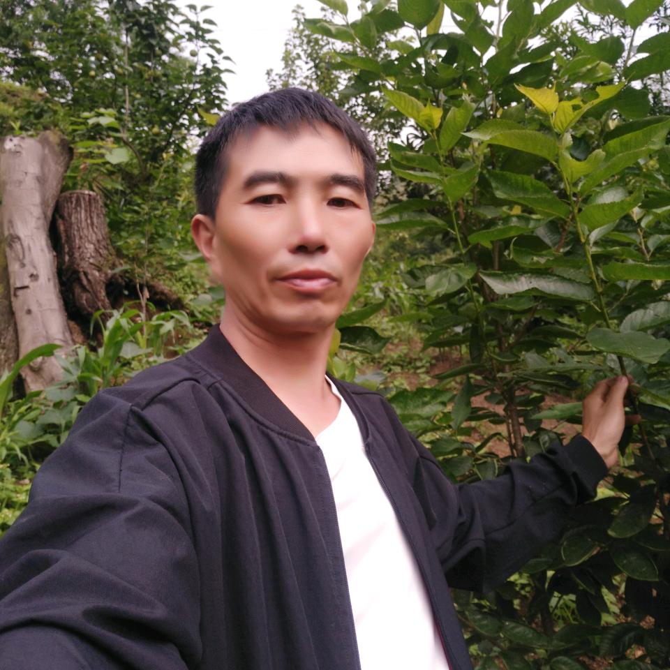 看破红尘城收了心包