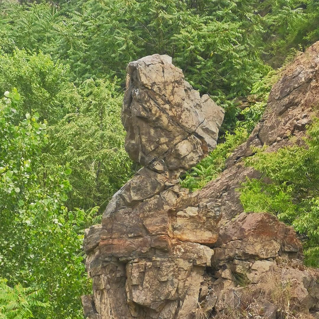 春风