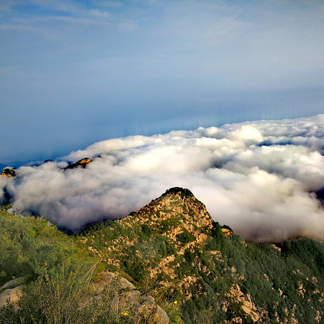 泰山李哥