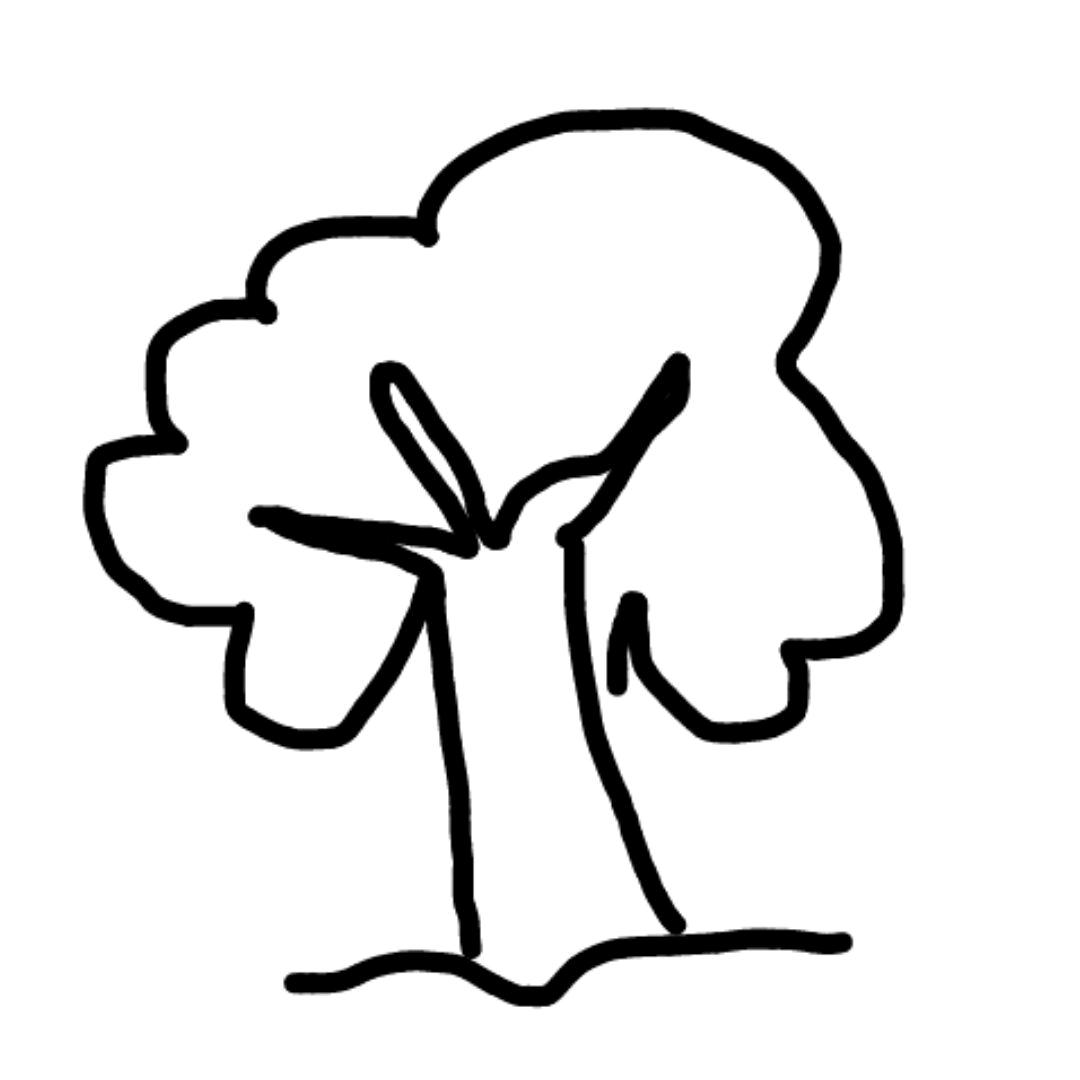 摄影树_ttree📷