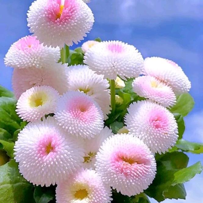 未来更美好