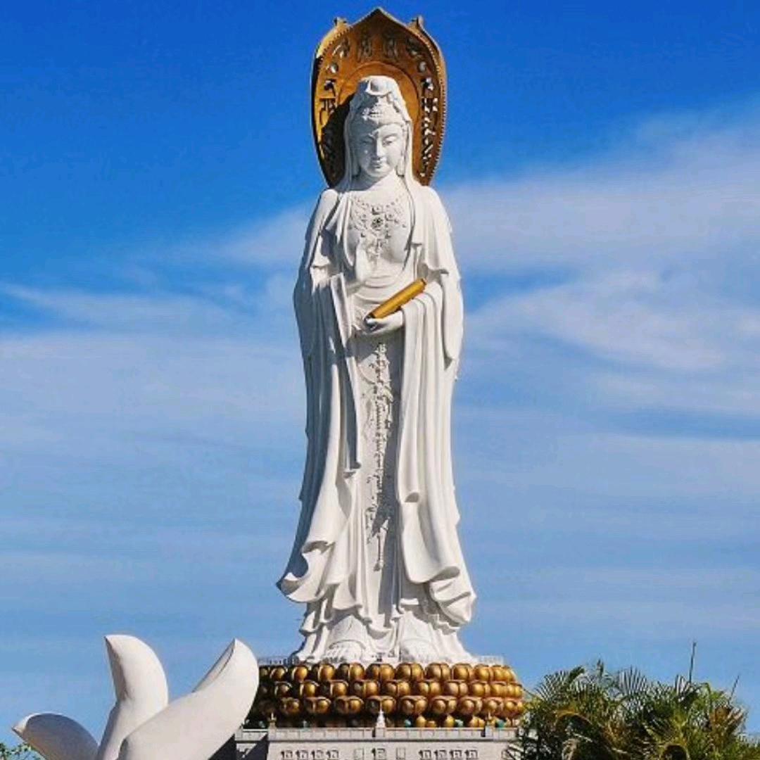 泊里格力美的家电