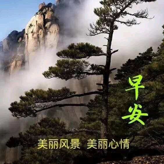 林 子