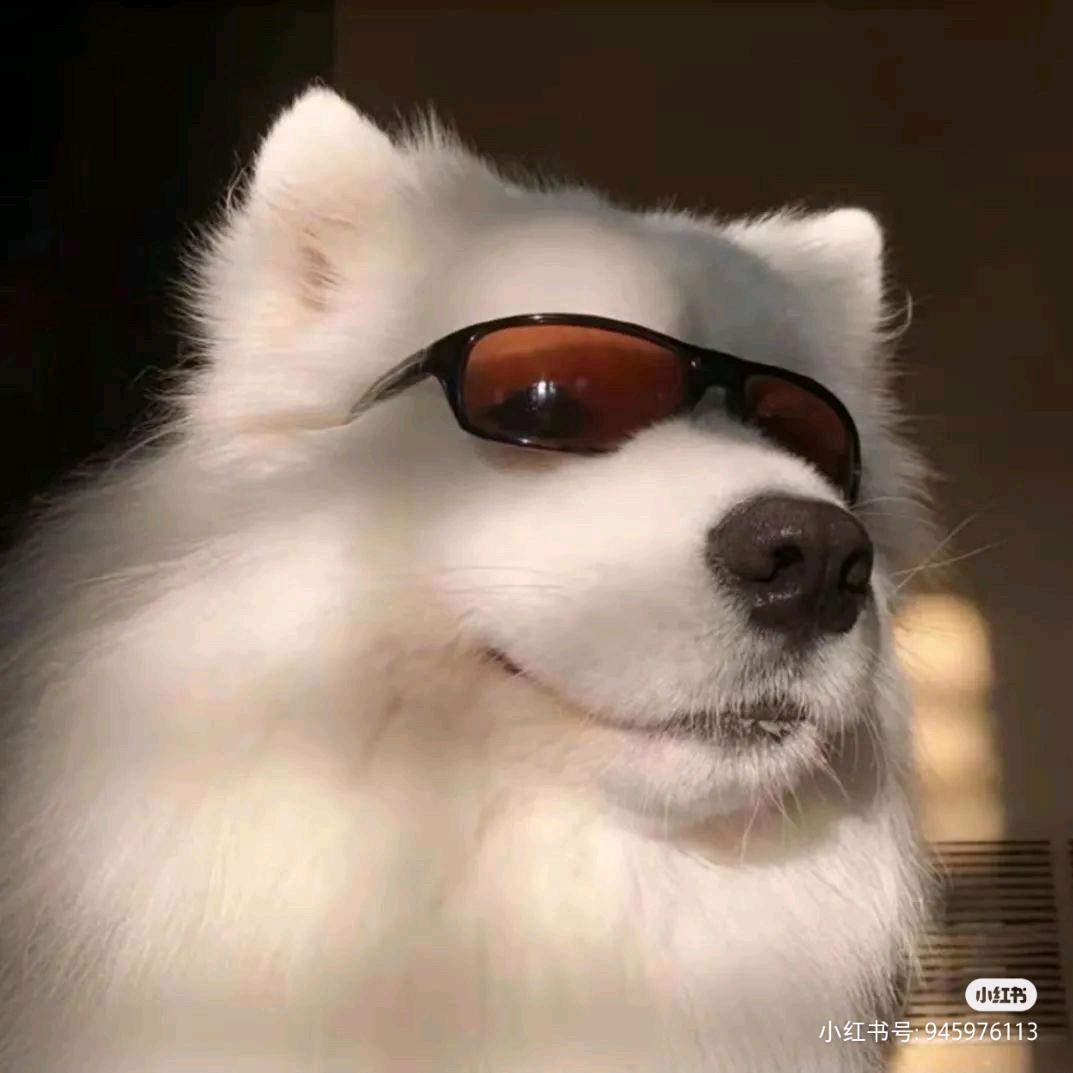 零下.