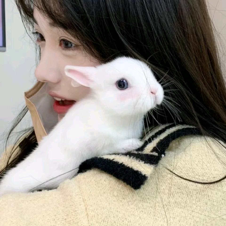 拾颜集
