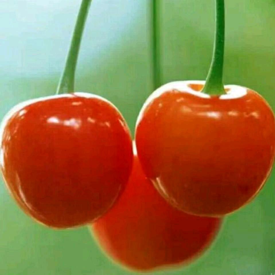 浅默🇨🇳逸然