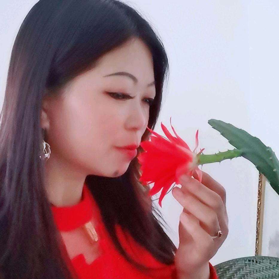 笑看红尘