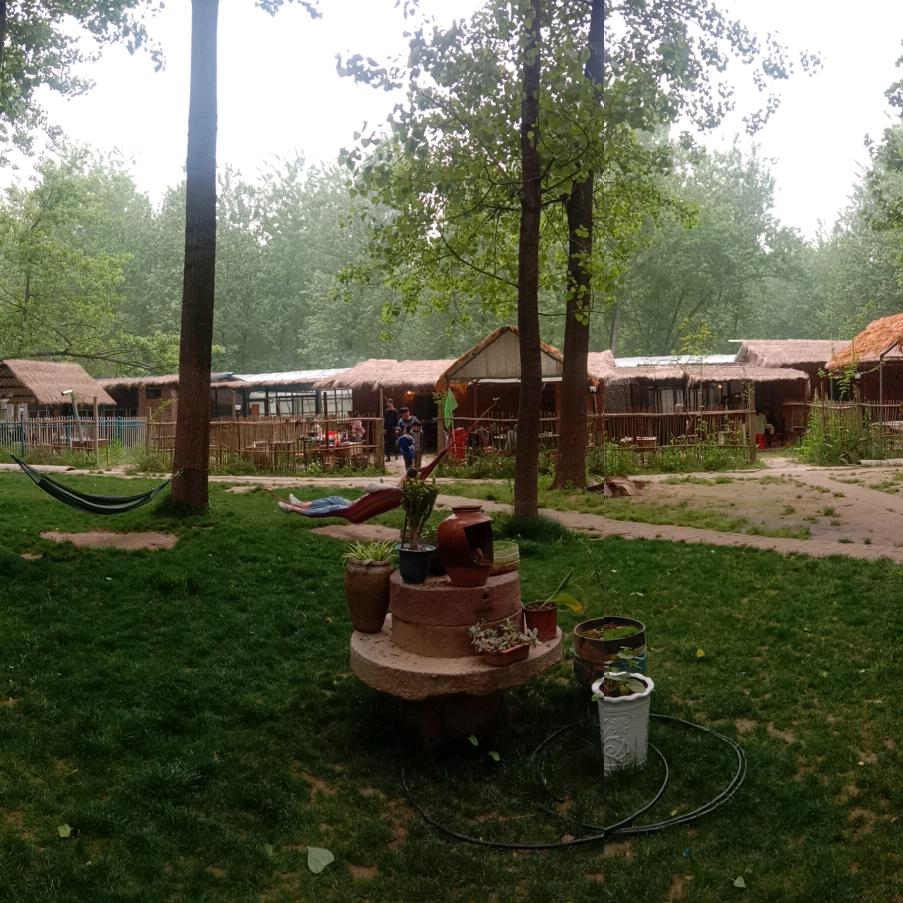 淮南东风湖农产品