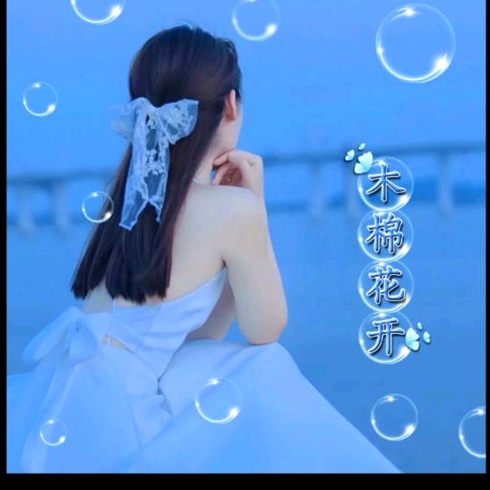 木棉花开