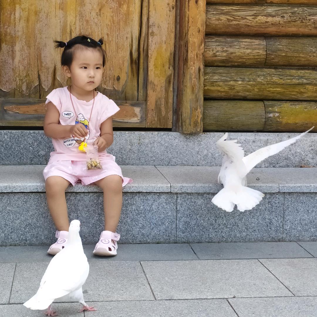 🌈洋洋是个小可爱🌈