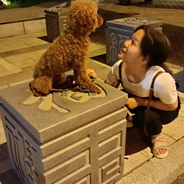 努力赚钱……