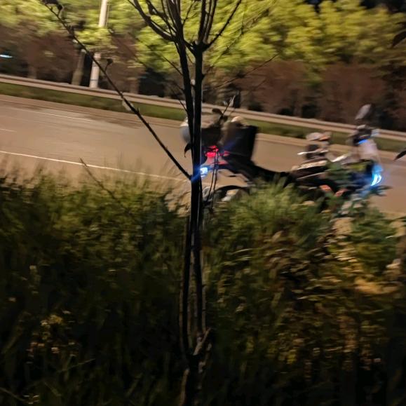嗨酷狗