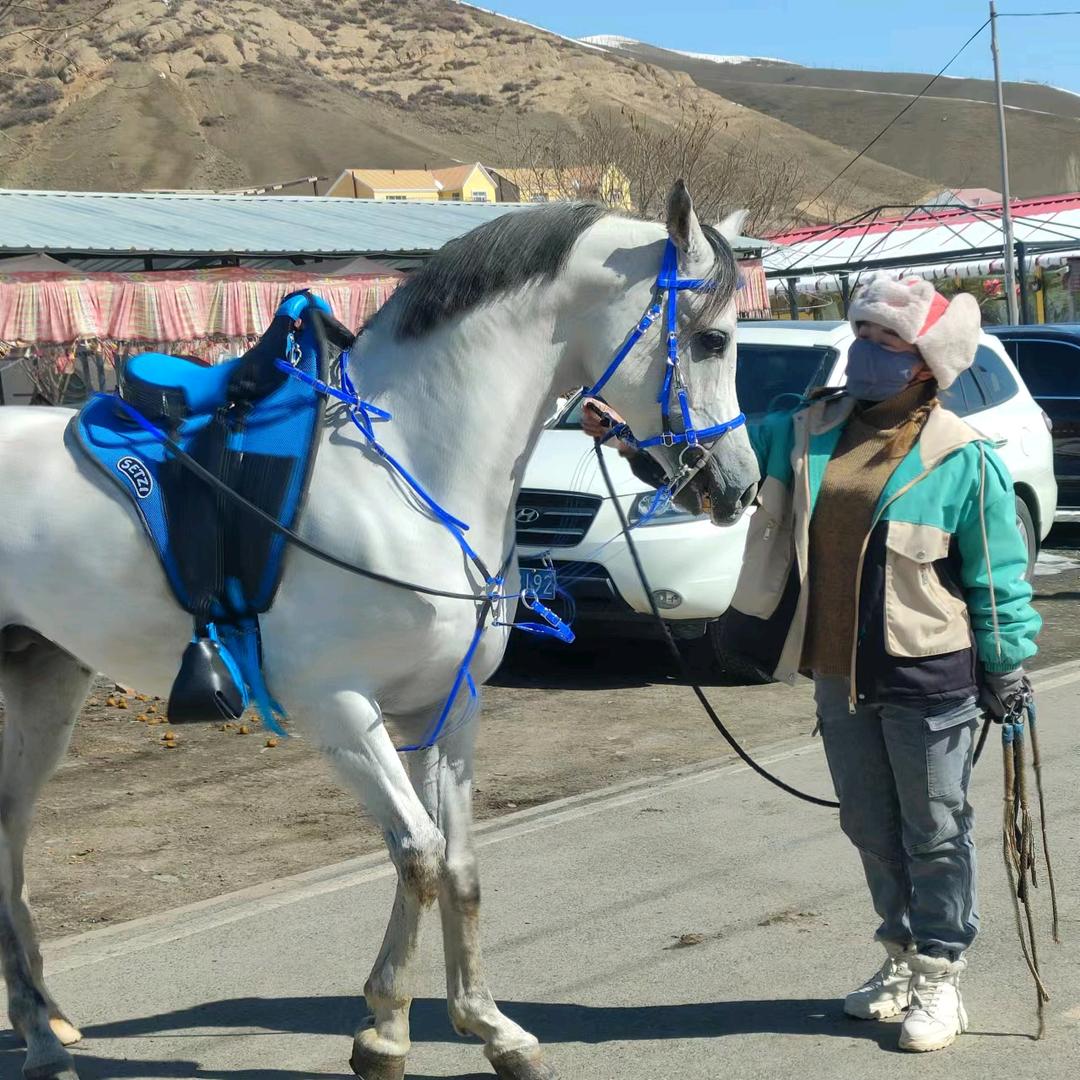 南山沙沟野骑琦姐
