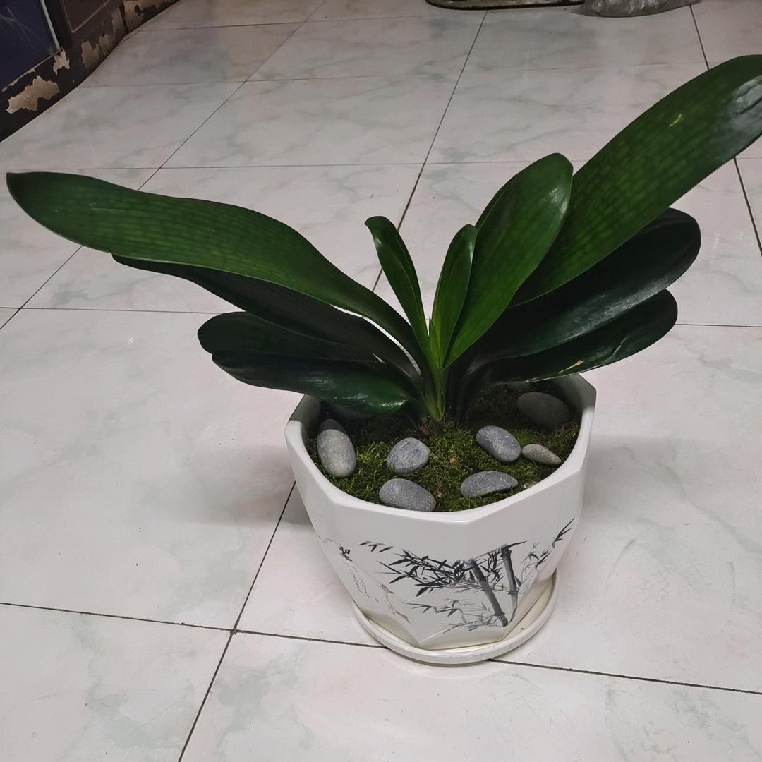 十指紧扣💞