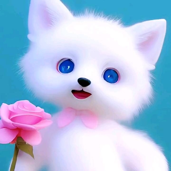 亲爱的