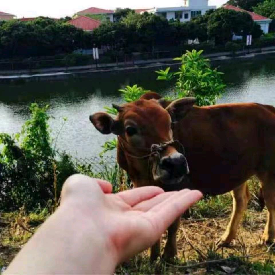 三少🐇