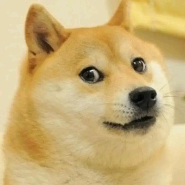 屑狗